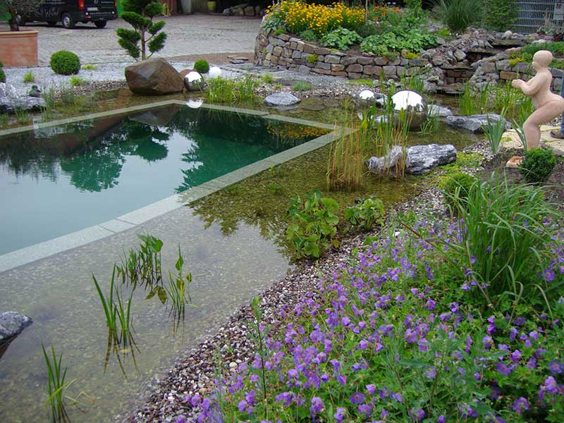 Schwimmteich mit bepflanzter Reinigungszone
